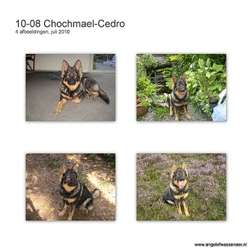 Nieuwe foto's van  Chochmaël-Cedro over de maanden juli en augustus